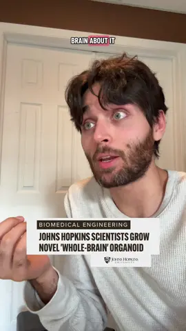 We just need to fuse the brain with ai and we’ll have true AGI and then the tech billionaires win!  #brain #johnhopkins #biomedicalscience #brainscience #ai 