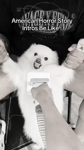 American horror story new season coming soon ! #americanhorrorstory #pets #pomeranian #viral #fyp 