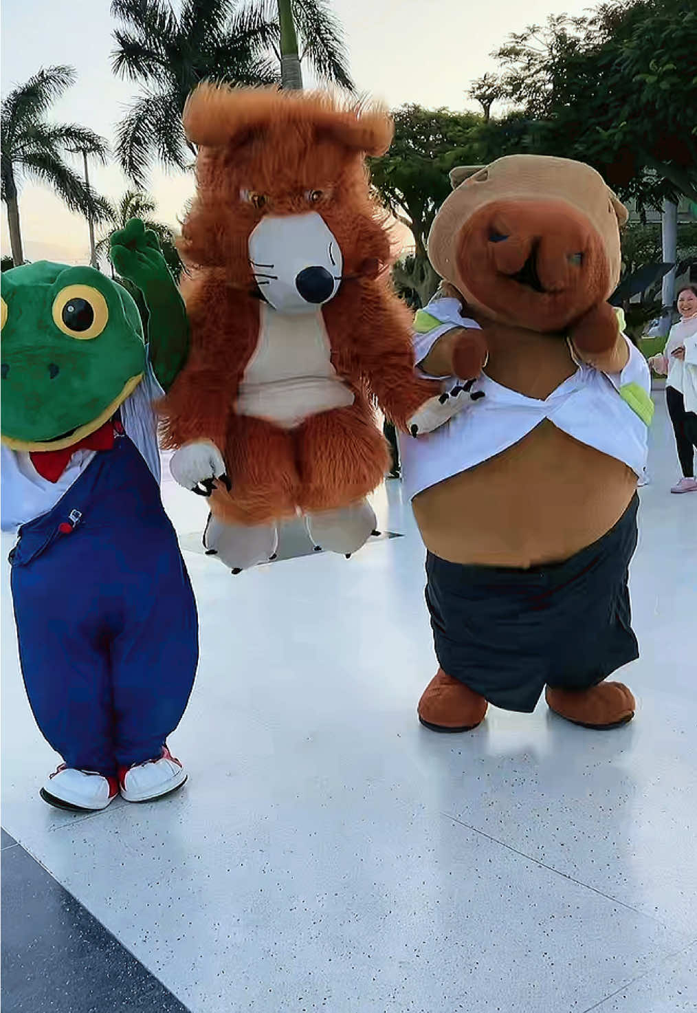 Somos 3! 🐺🐸🐹 con cual te identificas? 🔥🔥 @Ceci show y sus Amigos #lobo #capivara #rene #pacoamigos #somos3 
