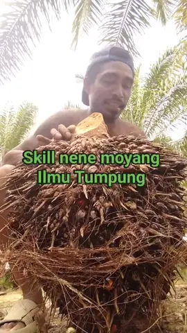 ilmu Tumpung skill nene moyang #nenemoyangfyp #sawit_balap_sabah #pasukan_berduri 