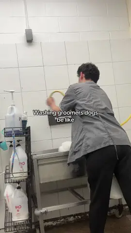 Hard work pays off #doggrooming #doggeoomer #relatable #dogsalon 