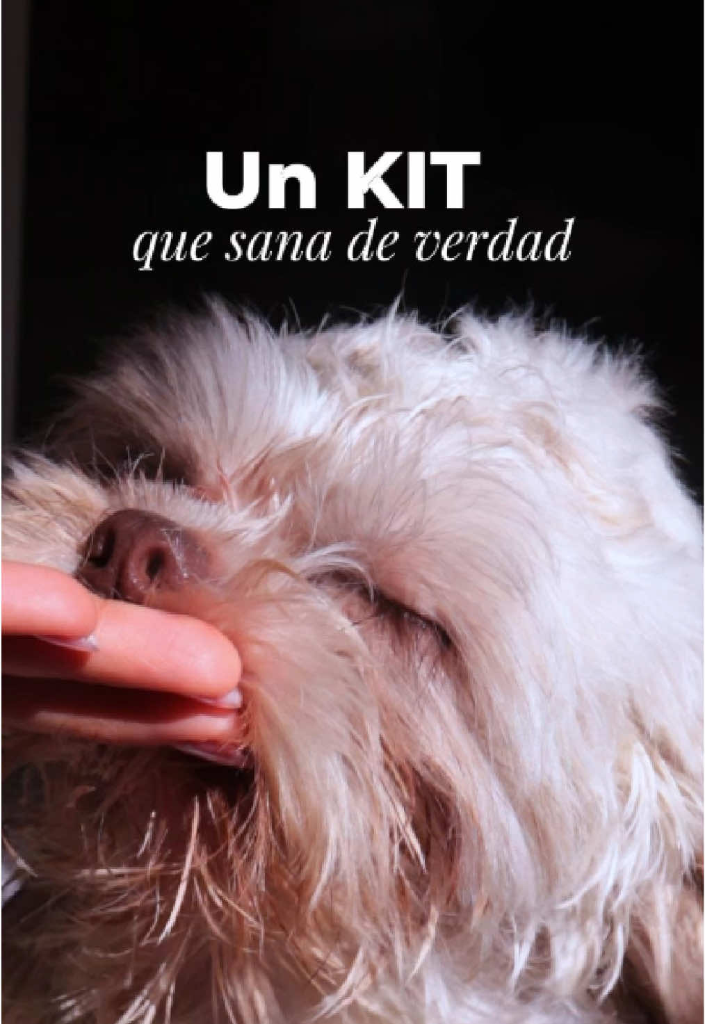 ⚠️ Dermatitis, hongos o heridas no son normales ⚠️ Cada día que lo postergas, el problema empeora y tu perro sufre más. 🚨 Por eso existe el Kit Fusión Curativa Dog’s Natural Care 🌿: 1️⃣ Jabón Fusión Vital: con carbón activado, limpia y desintoxica en profundidad. 2️⃣ Bálsamo Curativo Dog’s Natural Care con cúrcuma: calma, regenera y cicatriza. 100% natural y seguro incluso si lo lame. 💚 Más de 50.000 mascotas en Colombia ya recuperaron su piel con este tratamiento recomendado por veterinarios. 📦 Compra ahora en nuestra tienda online, agrégalo al carrito y recíbelo rápido en casa. 👉 Envío gratis en pedidos desde $180.000. #kitfusioncurativa #jabonparaperros #dermatitisenperros #dogsnaturalcare #balsamocurativo 