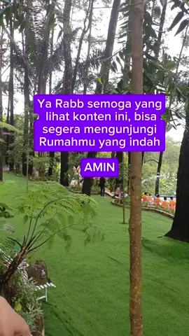 #viral#trending#fyp 