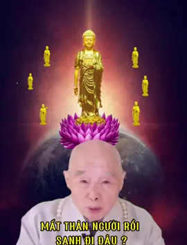 KHI CHÚNG TA ĐÃ MẤT THÂN NGƯỜI_ NẾU MUỐN CÓ LẠI THÂN NGƯỜI RẤT KHÓ. MẤT THÂN NGƯỜI RỒI SANH ĐI ĐÂU