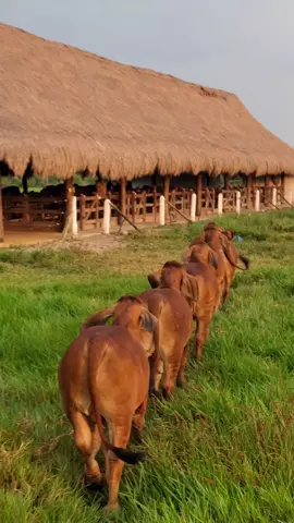 #LIVEIncentiveProgram #SideHustleLIVE #PaidPartnership 