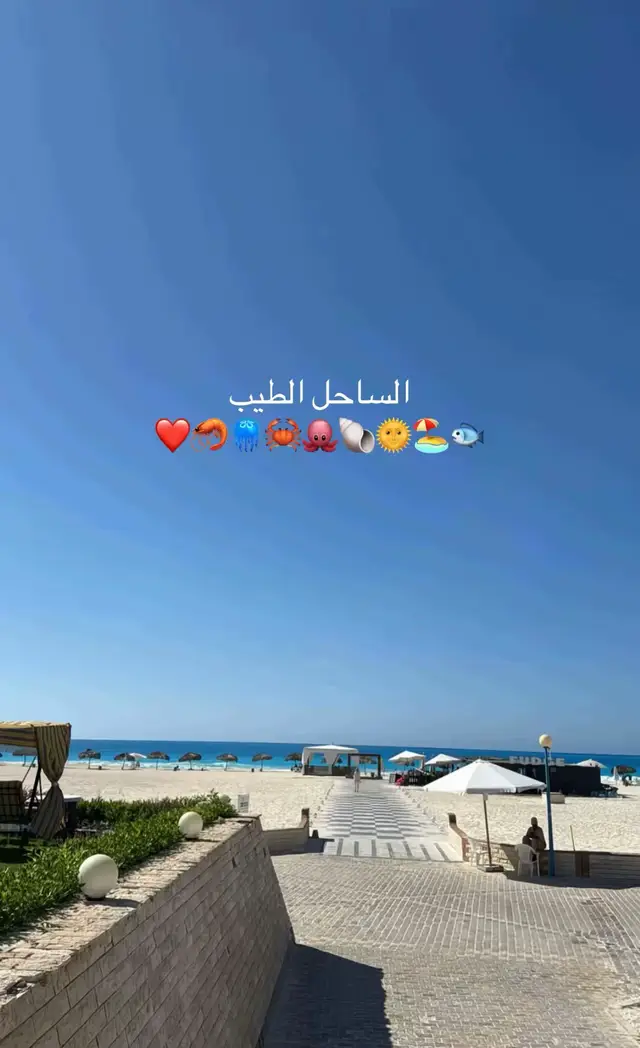 Fav season 🥹♥️ #summer2025