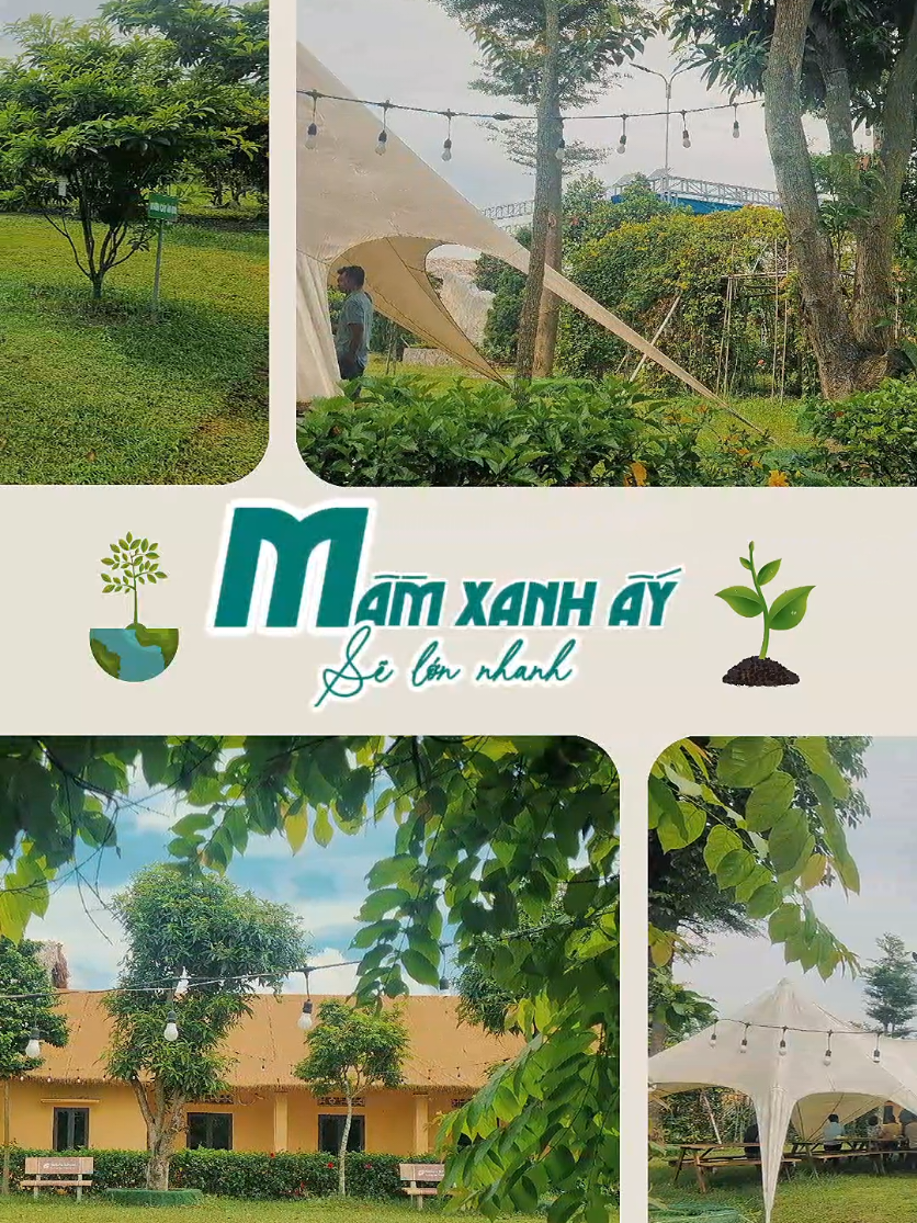 Màu xanh của Nature School  #dulichtrainghiem #nature #NatureSchool #viraltiktok #CapCut 