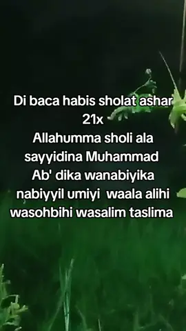 Amalan bulan Maulud habis sholat ashar di baca 21x bertepatan dengan lahir nya jujungan kita Nabi Muhammad Saw semoga kita semua mendapat kan barokah dari beliau nabi Muhammad Saw 🤲