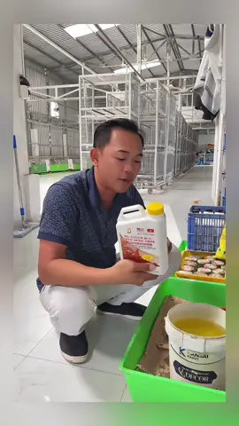 Gluco Kc thảo dược Oral bình 1 Lít #glucokcthaoduoc #glucokc #yeuthuongdongvat #cachnuoiga #glucokcthaoduocoral 