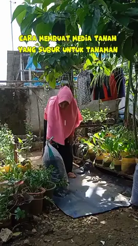 membuat media tanah yang subur untuk tanaman