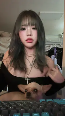 긔여웡 #fyp #강아지 #추천 