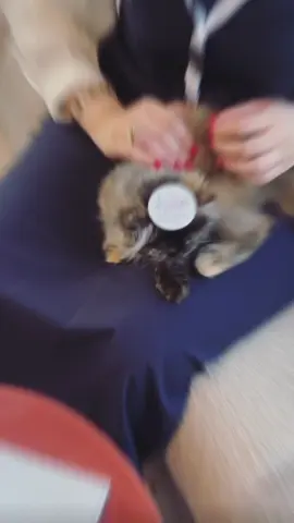 #explore #foryou #fypالشعب_الصيني_ماله_حل😂 #academia #مالي_خلق_احط_هاشتاقات @ACADEMY EVENTS 🎓 