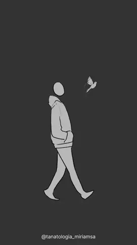 Es importante que dejemos nuestras emocionea fluir para poder sanar. #duelo #sanar