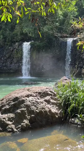 🧚🦋  . . . . #waterfall #waterfallsound #cairns #australia 