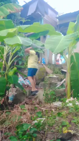 #hypic #hypicpioneer #CapCut 