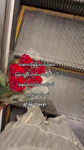 နော်ကိုကို😚#fypシ #tiktokviral #foryou #100000k #ကြေကွဲလူငယ်၄ 