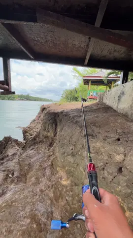 coba mancing ikan di bawah jembatan 