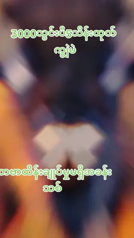 #creatorsearchinsights #fyp #foryou #foryoupage #capcut @Thel su 