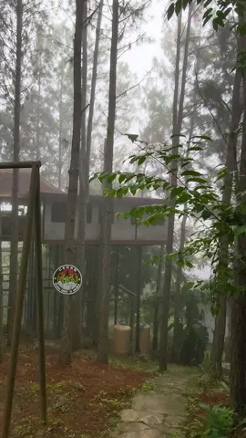 บรรยากาศ 05/09/68  🌿🌲💚☁️☁️☁️#cedarป่าสนcafeเขาค้อ 