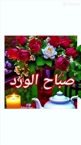 #يسعد_صباحكم_متابعيني_الغاليييين❤️💜💖🌹 #🌺🌺🌺🌺🌺🌺🌺🌺🌺🌺  