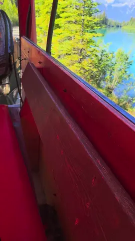 Serenidad y calma naturaleza majestuosa ❤️❤️ #bosque #bosqueencantado #momentosinolvidables #fyviralvideo #mountainbike 