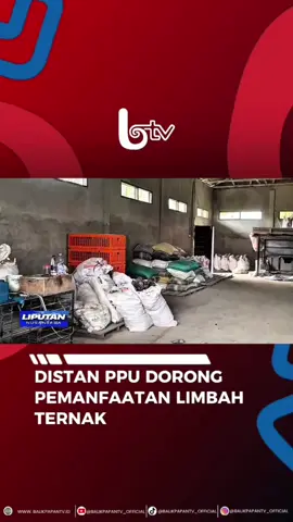 Dinas Pertanian Kabupaten Penajam Paser Utara, mendorong Pemanfaatan Limbah Ternak untuk berbagai tujuan. Seperti menjadi Pupuk Organik yang dapat memperbaiki Kesuburan Tanah, dan Meningkatkan Pertumbuhan Tanah. #AyoNobarBTV #penajampaserutara #distanppu #dorongpemanfaatanlimbahternak #kepalabidangpeternakandankesehatanhewandistanppuristuprimula