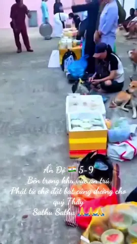 Ấn Độ 🇮🇳 5-9 Khu vực nơi an trú của quý Thầy.Phật tử chờ đặt bát cúng dường.Sathu Sathu 🙏🙏🙏 #nammôđầuđàminhtuệphật #thichminhtue #nguyễnhiếu01234 #thichminhtuemoinhat 