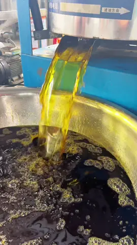 Hot pressed oil, the finished oil after being filtered by the centrifugal oil filter#oilpress #tiktok #fyp #foryou @tiktok creators 
