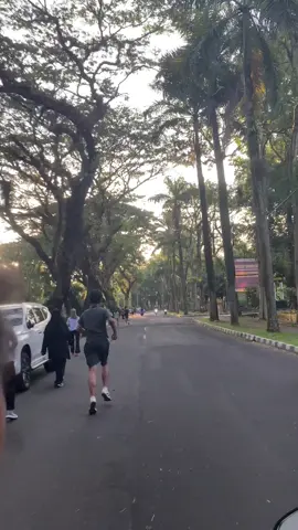 Universitas Jember 🍂🍃🫶🏼#universitasjember #unej 