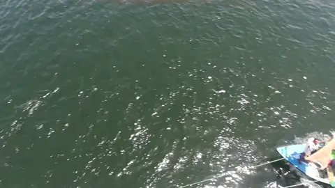 vendiendo en lancha   #egipt #egyptian #barco#rionilo#crucero 