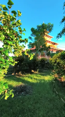 #kankalni_temple_bhardah❤️🙏🙏 #temple #hometown #sanatandharma #trusttheprocess 