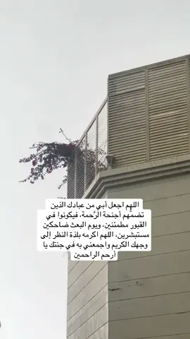 #fyp #tik_tok #ابوي#دعاء #اللهم_صل_وسلم_على_نبينا_محمد 