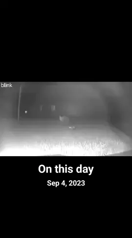 #onthisday 