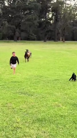 Kids are afraid of animals 🤣🤣#fyp #animals #usa #kids #viral 