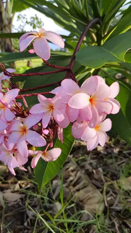 #เทรนด์วันนี้ คิดให้ดีมีประโยชน์#tiktokพาเที่ยว #สตอรี่ติ๊กต๊อก 