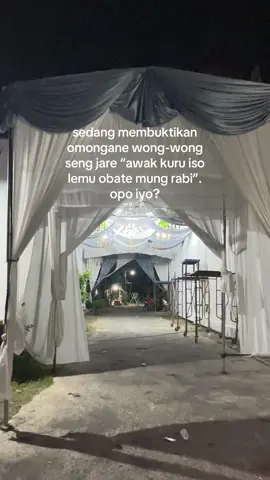 pembuktian lagek 10 ulan rabi ws mundak 13kg🫨