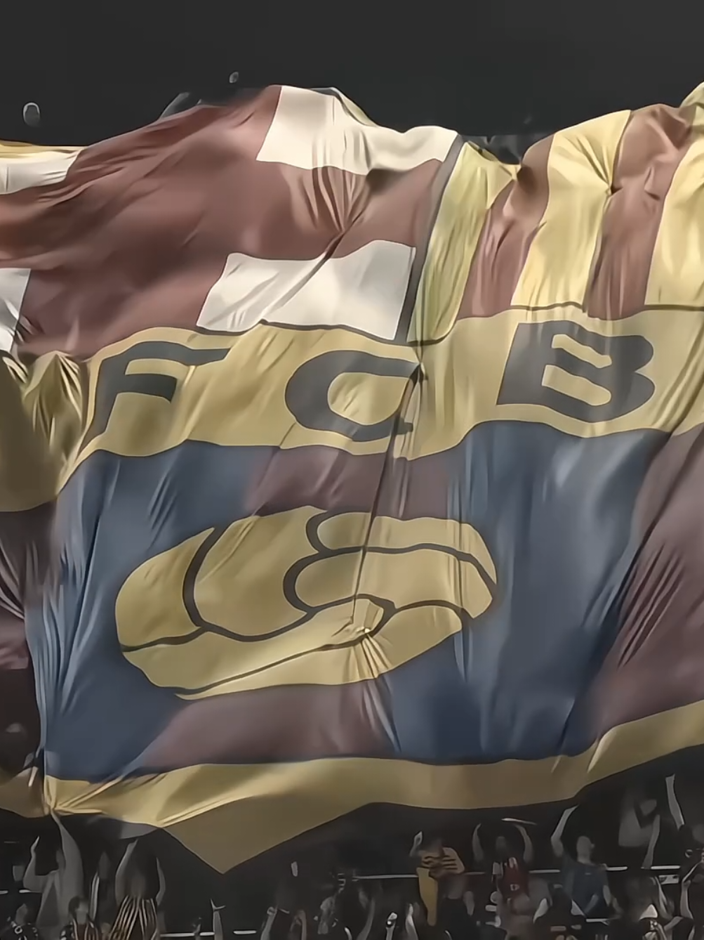 Born a Cule, forever a Cule ❤️💙 #barcelonafc🔴🔵 #viscabarca 