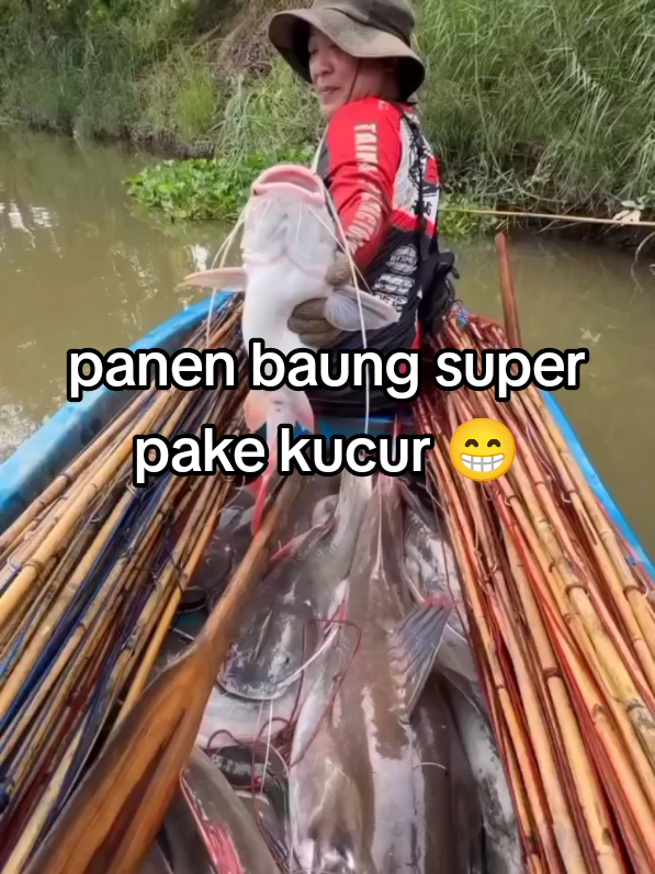 ikan baung super #ikanbaung #umpankucur #kucur #baung #sorotan 
