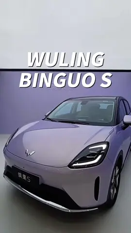 New SUV New Arrivals! Bingo S 2025 reply to get your special offer!🔥🔥 #wuling #electriccar #wulingmotors #fyp #bolivia🇧🇴 #venezuela #bingo #wulingmotors #suv 