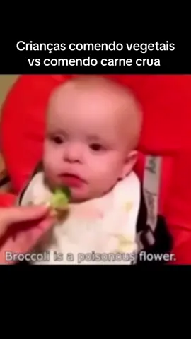 A verdadeira cor da saúde é vermelha não verde #saude #fyp #ancestors #indigenous #sverige 