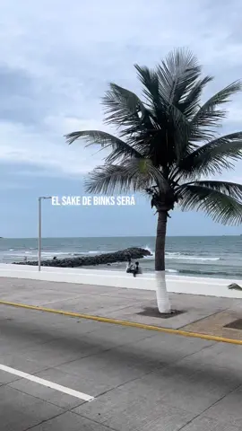 Himno #sakedebinks #onepiece #parati #fyp 