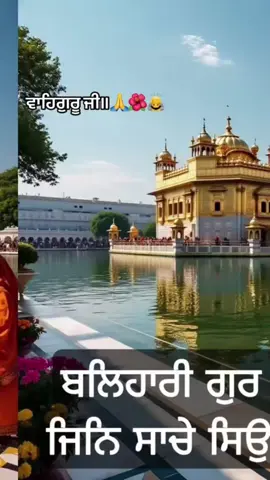 #duet with @🇨🇦 G.K Sandhu 🇨🇦 