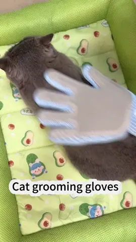 🌟 Turn Cuddle Time into Spa Time with the Massage Grooming Glove! ✋🐾 Pet your furry friend and remove loose fur in one soothing move! This dual-action grooming glove lets you de-shed while giving your pet a relaxing massage they’ll actually love. ✨ Why It’s a Must-Have: · Gentle on Skin, Tough on Fur: Silicone tips grab loose hair without pulling or irritation 🧤 · Comfy & Breathable: Lightweight fabric keeps your hand cool during longer pet sessions 🌬️ · Bonding + Grooming: Perfect for cats and dogs who hate traditional brushes – they’ll think it’s just pets! ❤️ · Easy Clean: Just rinse or wipe – no more hairy clothes or furniture! 🧹 😌 Pawfect For: • Shedding seasons (aka “fur-pocalypses”) 🍂 • Pets with sensitive skin or brush anxiety 🐶🐱 • Anyone who wants less fur on their couch… and more in the trash! 🛋️🗑️ #GroomingGlove #PetMassage #DeShedding #HappyPets #DIYGrooming 👉 Swipe to see the fur come off – satisfaction guaranteed! Tag someone whose pet is a shedding machine! 🌀💛