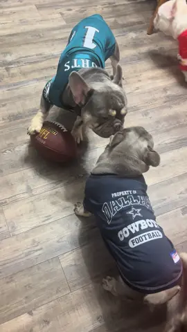 Obviously we can’t agree on anything tonight #cowboys #eagles #football #nfl 