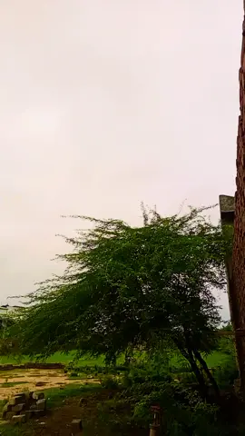 #foryou #foryoupage❤️❤️ #viralvideo #toptrending 