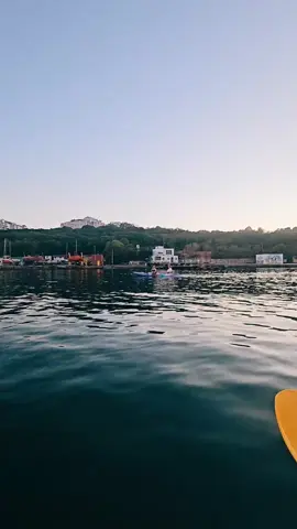 #tiktoklive #livehighlights 