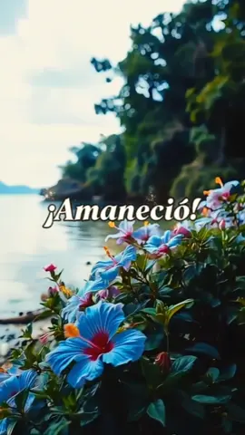 #CapCut #Buenos dias#Bendiciones para todos #🙏🇻🇪🤠👌#Para ti