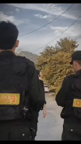 CSCĐ VIỆT NAM MÃI ĐỈNH