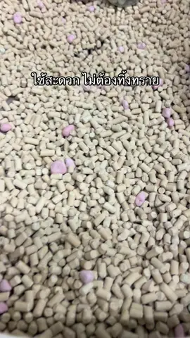 ทรายแมวเดโอทอยเล็ท ใช้ดีมากกกกกกกกกกกกก #ฟีดดดシ #ทรายแมว #เดโอทอยเล็ท #unicharmpet #ทรายแมวเก็บกลิ่นดี 