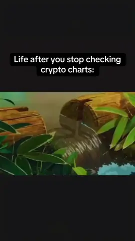 #cryptocurrency #memecoins #bitcoin #cryptotrading #crypto 